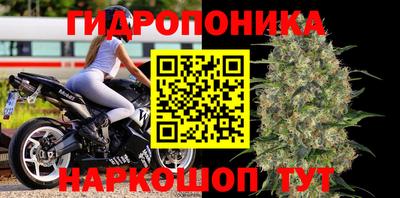шишки Кунгур