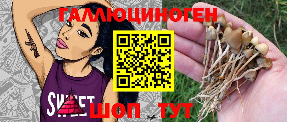 Галлюциногенные грибы ЛСД  Псилоцибиновые грибы Magic Shrooms  Вход с VPN  Гуково 