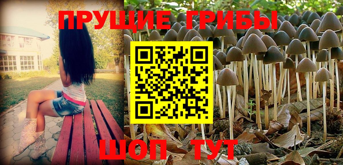 Псилоцибиновые грибы прущие грибы Гуково